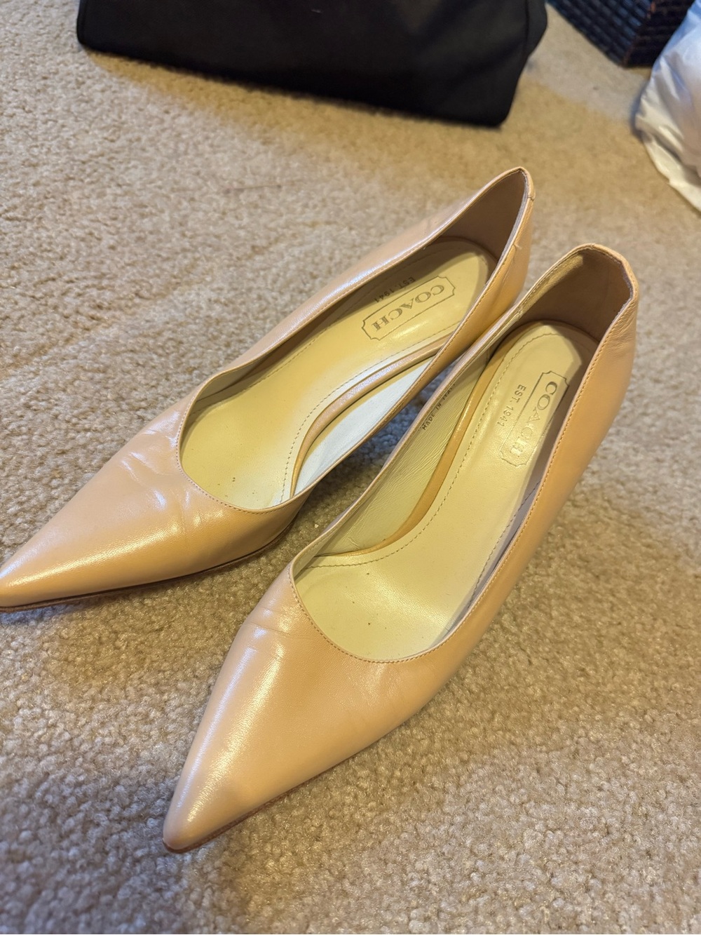 Coach Nude Leather Pointed-Toe Pumps